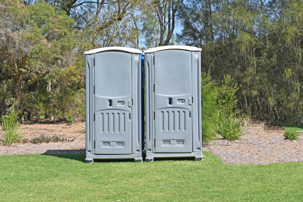 Best Lawn Drainage Solutions  in Painted Post, NY